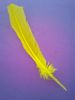 Picture of Pluma amarilla
