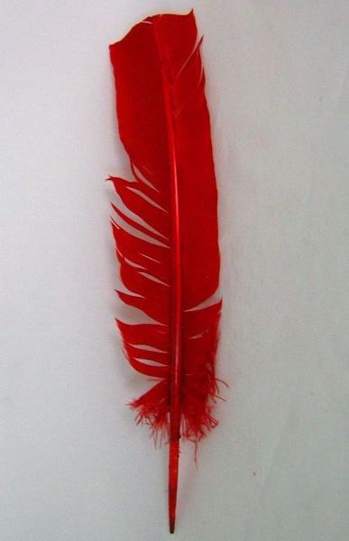 Imagen de Pluma  roja