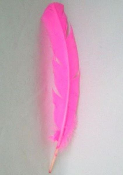 Imagen de Pluma rosa