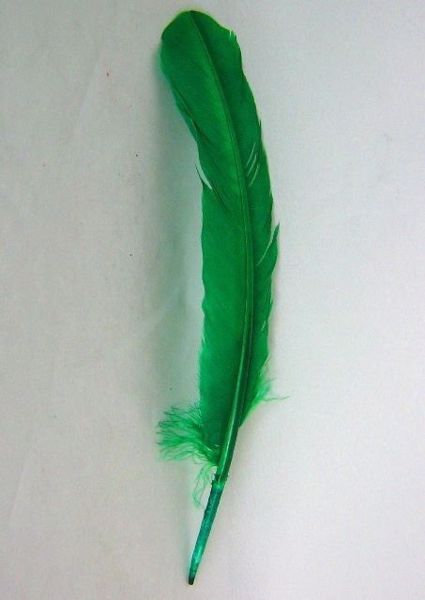 Imagen de Pluma verde oscuro