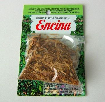 Mostrar detalles para Hierba Encina Imagen de Hierba Encina