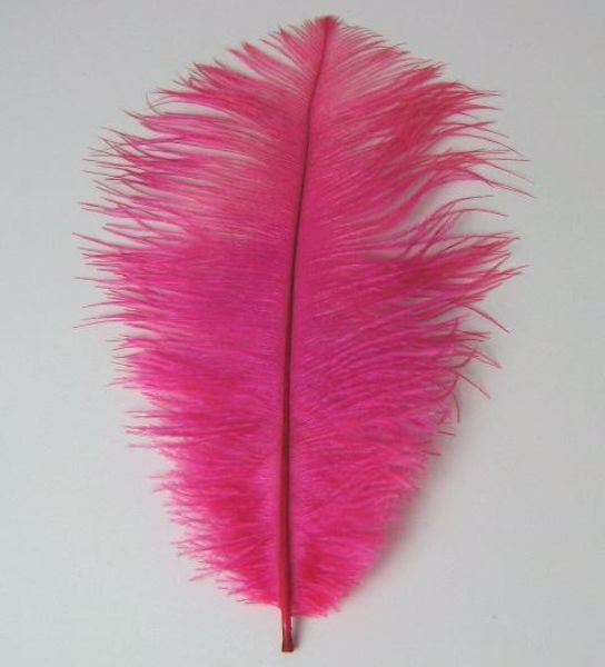 Imagen de Pluma rosa 24X8 cms aprox.