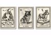 Imagen de TAROT CANI DEL MONDO