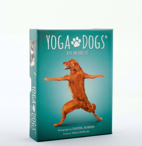 Imagen de yoga dogs deck & book set