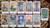 Imagen de vision quest tarot deck